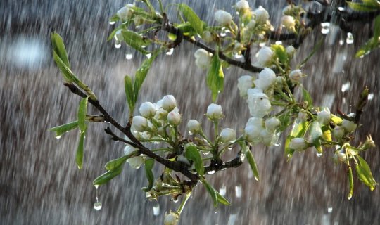 Azərbaycanda hava şəraiti dəyişir, yağış yağacaq, çaylardan sel keçəcək - XƏBƏRDARLIQ