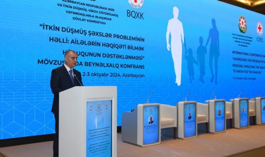 İtkin düşmüş şəxslər mövzusuna həsr edilən beynəlxalq konfrans keçirilib