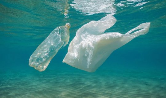 Alimlər tullantı sularında plastiki məhv edən bakteriyalar tapdı - İnqilabi kəşf