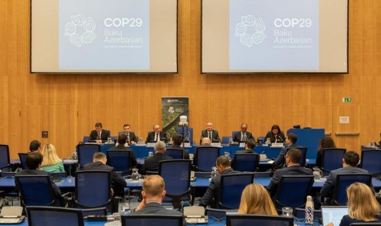 Baş Prokurorluq COP29-la bağlı Vyanada təşviqat tədbiri keçirdi