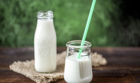 Kefir və qatıq orqanizmimizə necə təsir edir?