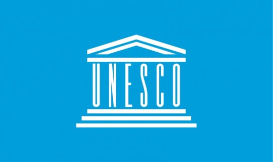 UNESCO: Biz iqlim və mədəniyyət mövzusunda öz töhfəmizi verməyə hazırıq