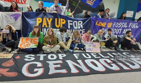 COP29: Bakıda ekofəallar səssiz aksiya keçiriblər