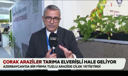 "Haber Global": "Azərbaycan şirkəti şoran torpaqları canlandırır" - VİDEO