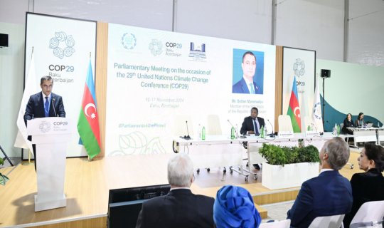 COP29 çərçivəsində keçirilən Parlament Görüşünün yekun sənədi qəbul olunub