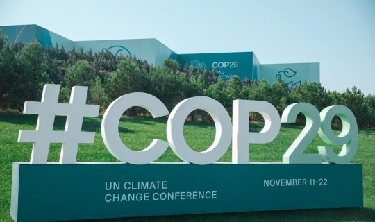 COP29 Prezidentliyi Paris İqlim Razılaşmasının 6-cı bəndinin bütün müddəaları üzrə razılıq əldə edib