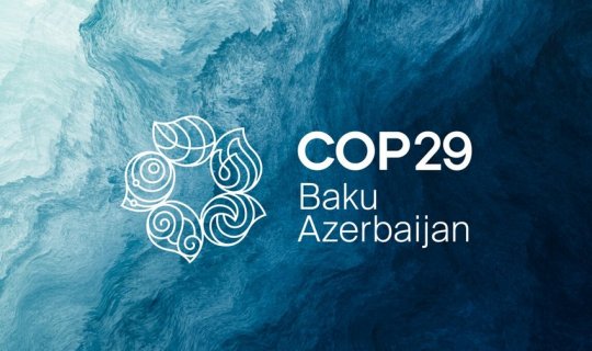 UNEP rəhbəri: COP29-da quracağımız gələcəyin təməli qoyulub