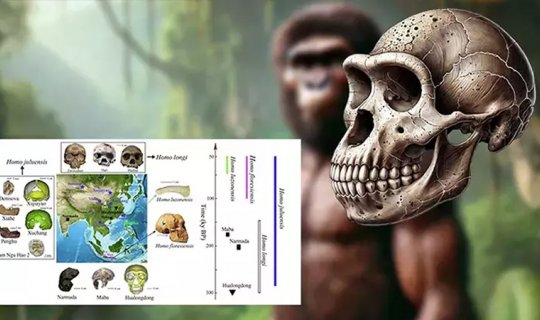 Çində yeni insan növü: Homo juluensis nədir?