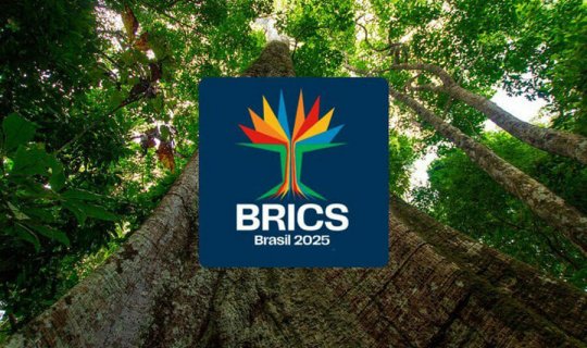 Bu da BRICS-in YENİ LOQOSU - Braziliya dünyaya hansı mesajı verir?