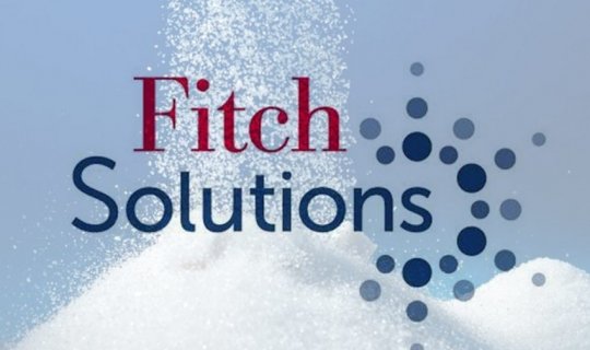 “Fitch Solutions” 2025-ci ildə turizmi təşviq edən əsas amilləri açıqlayıb