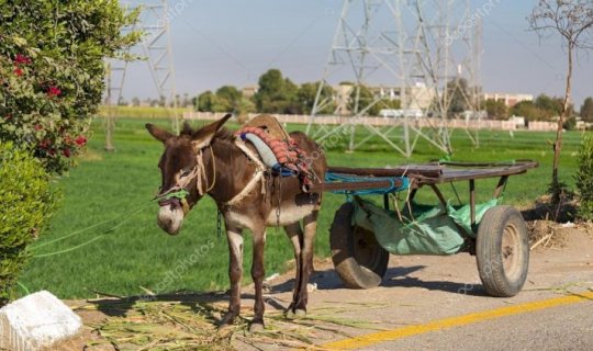 Samuxda maşın eşşək arabasına çırpılıb - Ölən var