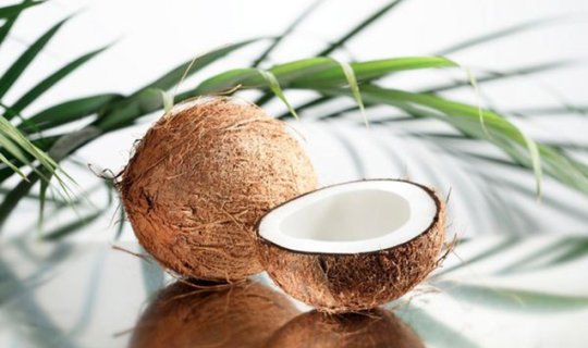 Kokosun faydaları