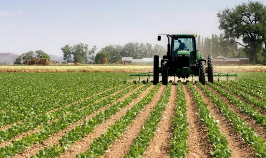 Aqrar Subsidiya Şurası subsidiya əmsalları ilə bağlı yeni qərar qəbul edib