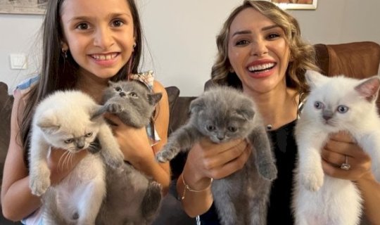 Evinizə bu rənglərdə pişik gəlsə,&nbsp;diqqətli olun