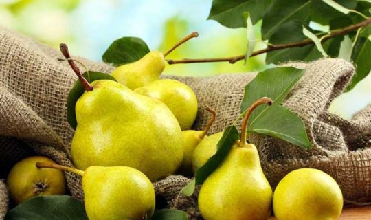Yuxuda armud&nbsp;görmək nə deməkdir?