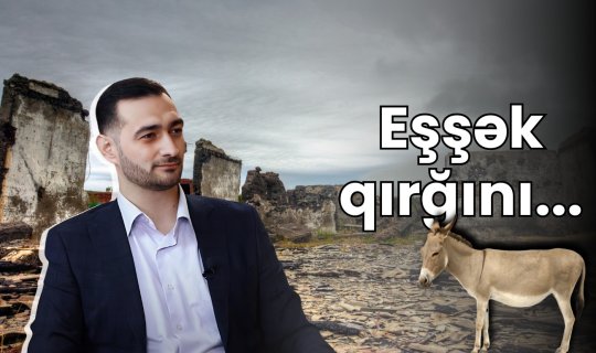 Qoyun lağ etsinlər, ədalətə baxın... &ndash; Eşşək üstündə qırğın