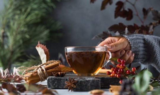 Ot, bitki çayları qaraciyərə zərər verə bilər