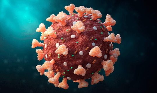 Çindən daha bir virus çıxdı - İnsanlar üçün təhlükə var?