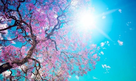 Sabah havanın temperaturu 13 dərəcəyədək artacaq