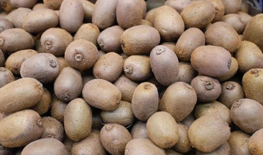Kivinin faydaları nələrdir?