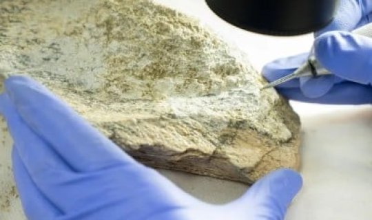 Tanzaniyada 1,5 milyon il yaşı olan sümük alətləri tapıldı
