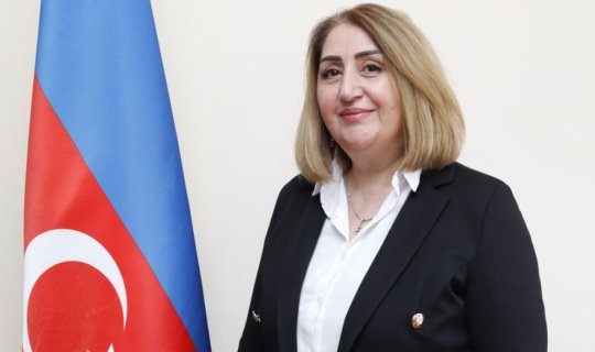 Müəllimlərə "hinduşkabaş" deyən direktorun yerinə başqası gətirildi