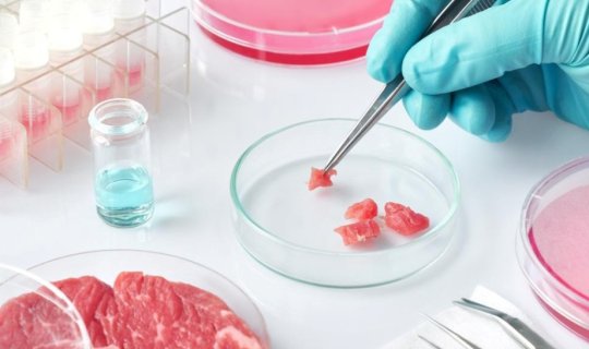 Laboratoriyada istehsal olunan qidalar bazara çıxarılır