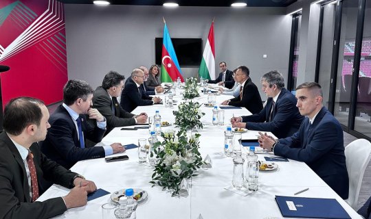 Azərbaycan və Macarıstan Avropada enerji təhlükəsizliyi məsələsini müzakirə edib