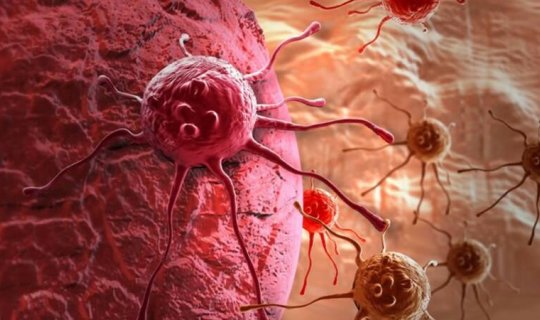 Xərçəngdən qorunmaq üçün 53 vacib tövsiyə - Bunları edin