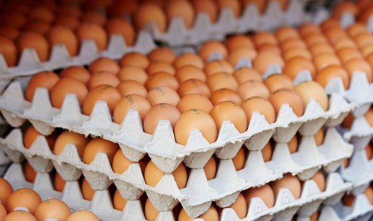 Makretlərdə köhnə yumurta satılır - Necə ayırd edək? - AÇIQLAMA