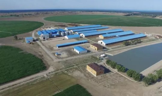 "Xaçmaz Aqropark" ləğv olunur