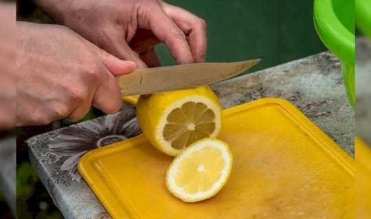 Bu məlumatı oxuyanlar qaça-qaça limon almağa gedir