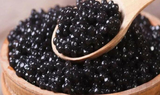 Kürü istehsalında rekord artım: Hamı dada biləcək?