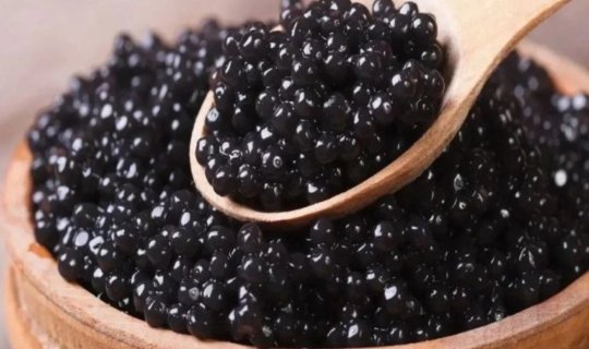 Kürü istehsalında rekord artım: Hədəf illik 40 tondur