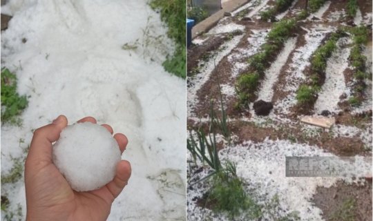 Culfaya dolu yağıb&nbsp;