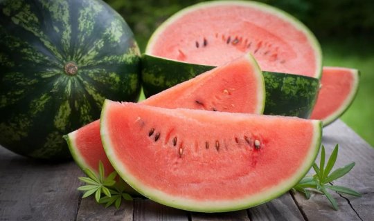 Son iki ayda 16 nəfər qarpızdan zəhərlənib