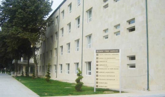 Arı sancan qadın bir ay komada qalıb
