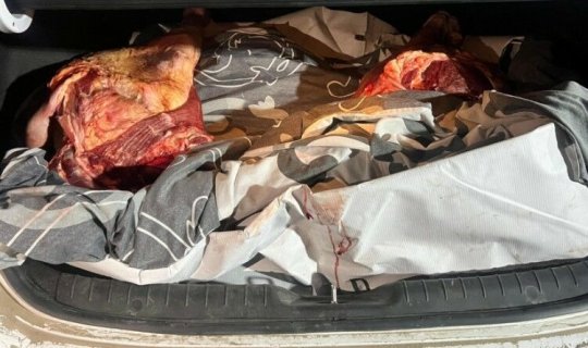 Maşınında 130 kiloqram ölü heyvan əti aşkarlandı - Foto