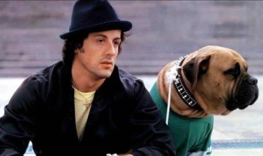 Öz yaxın dostunu 40 dollara satan Silvester Stallone elə günlərə qalıb ki... - Rembonun acı hekayəsi