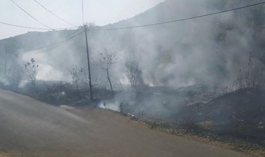 Qəbələdə yanğın törədən şəxslər müəyyən edilib