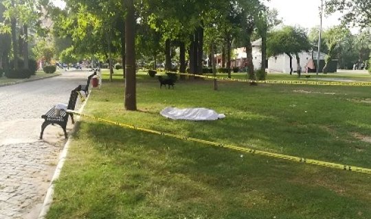 Bakıda parkda kişi ÖLDÜ