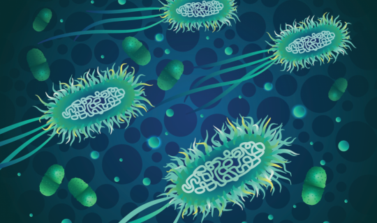 Alimlər antibiotiklərə davamlı bakteriyaları məhv etməyin yolunu tapdılar