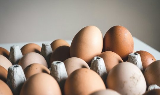 Təzə yumurtanın ömrü nə qədərdir?