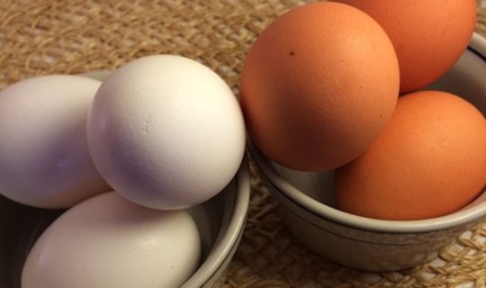 Sarı, yoxsa ağ - Hansı yumurta daha faydalıdır?