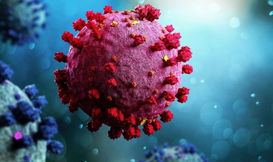 Bu virus qadınlarda qan damarlarının daha sürətli qocalmasına səbəb ola bilər - TƏDQİQAT