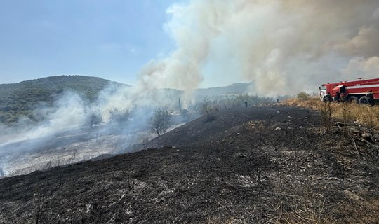 Xocalı və Xocavənddə yanğına səbəb olan şəxs saxlanıldı