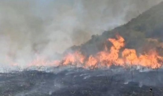Ağdərədə başlayan yanğın Ağdama yayıldı