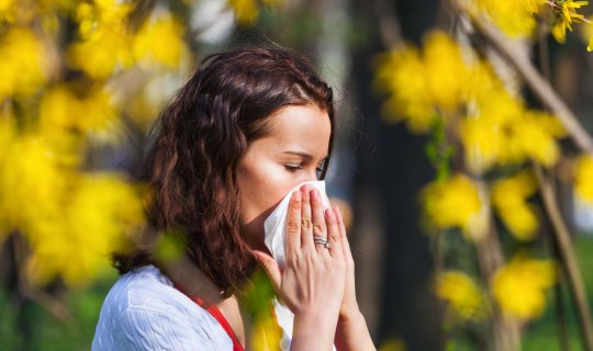 Mövsümi allergiyalara qarşı təbii üsullar