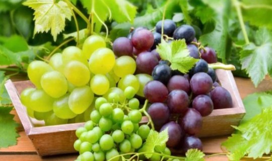 Bu faydalarını biləndən sonra həmişə üzüm yeyəcəksiniz