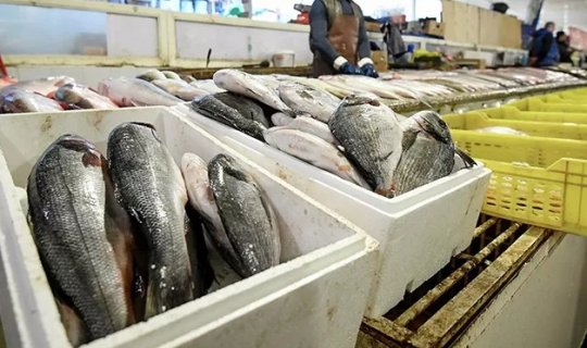 Sabahdan Bakıda balıq yarmarkası fəaliyyət göstərəcək